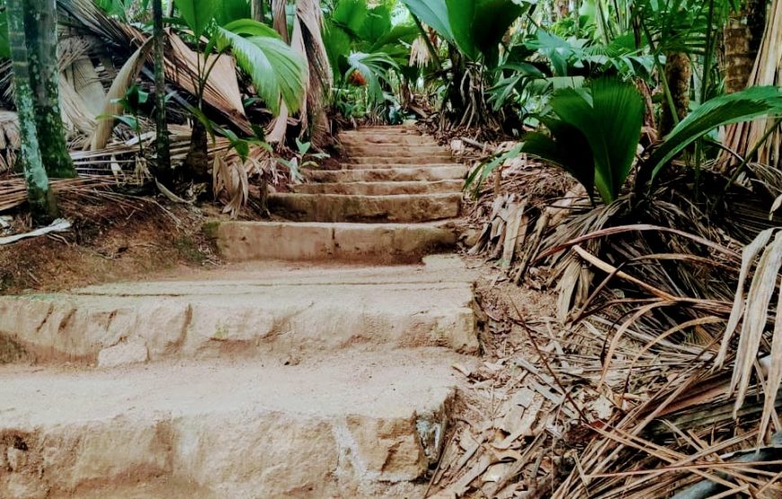 Vallee De Mai & Anse Lazio Tour