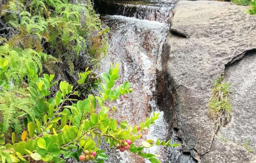 Anse Majore Trail