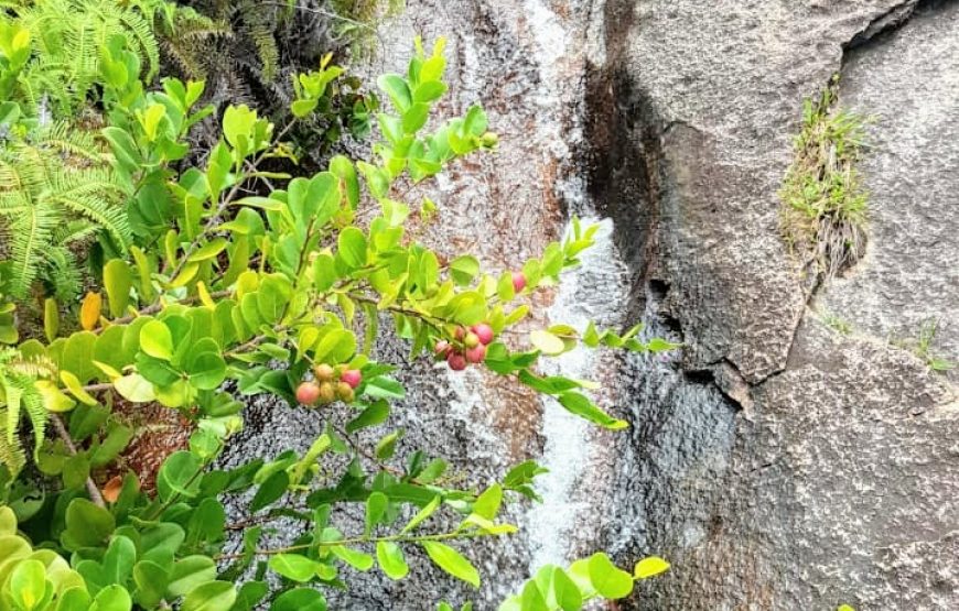 Anse Majore Trail