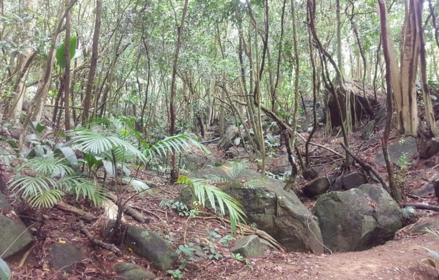 Anse Majore Trail