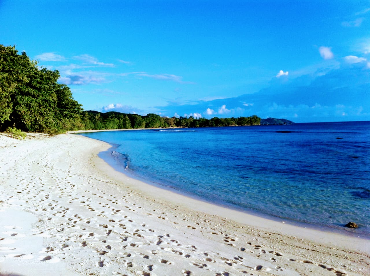 Cerf Island Eco Tour (Sharing) - Jadore Seychelles