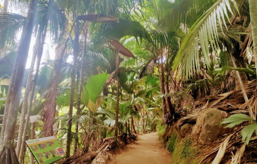 Vallee De Mai & Anse Lazio Tour