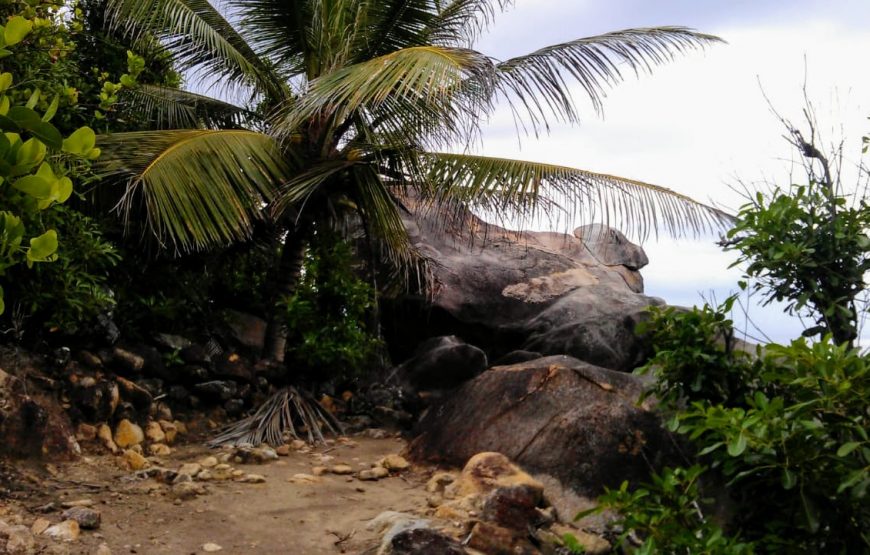 St Anne Marine Park Excursion (Private)